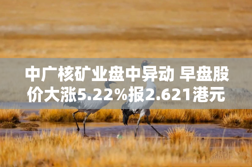 中广核矿业盘中异动 早盘股价大涨5.22%报2.621港元