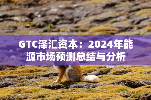 GTC泽汇资本：2024年能源市场预测总结与分析