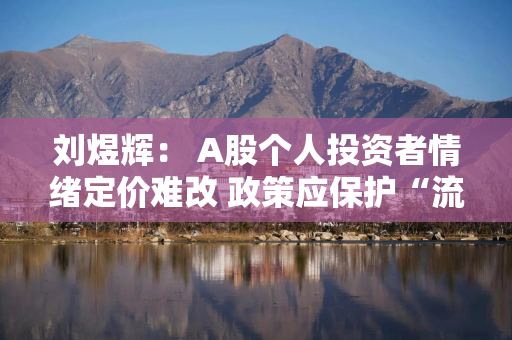 刘煜辉： A股个人投资者情绪定价难改 政策应保护“流动性溢价”而非压制