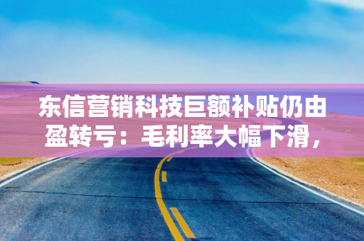 东信营销科技巨额补贴仍由盈转亏：毛利率大幅下滑，现金流告急