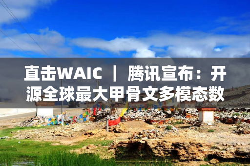 直击WAIC ｜ 腾讯宣布：开源全球最大甲骨文多模态数据