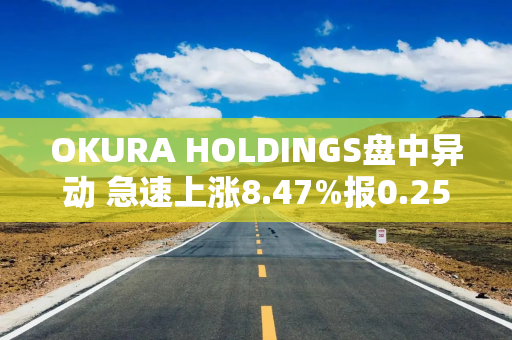 OKURA HOLDINGS盘中异动 急速上涨8.47%报0.256港元