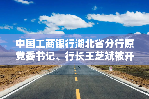 中国工商银行湖北省分行原党委书记、行长王芝斌被开除党籍