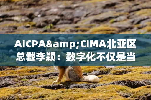 AICPA&CIMA北亚区总裁李颖：数字化不仅是当前的趋势，更是未来发展的新常态