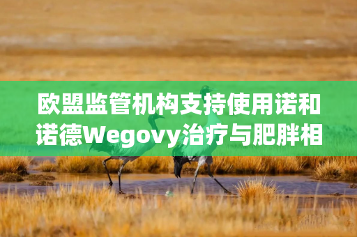 欧盟监管机构支持使用诺和诺德Wegovy治疗与肥胖相关心脏病