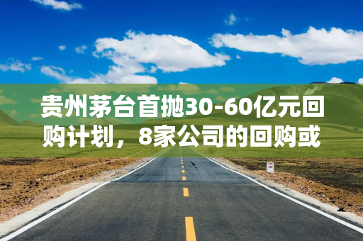 贵州茅台首抛30-60亿元回购计划，8家公司的回购或增持谁更有诚意？