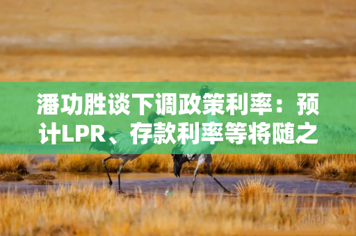 潘功胜谈下调政策利率：预计LPR、存款利率等将随之下行0.2-0.25个百分点