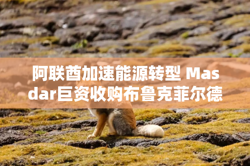 阿联酋加速能源转型 Masdar巨资收购布鲁克菲尔德可再生能源公司