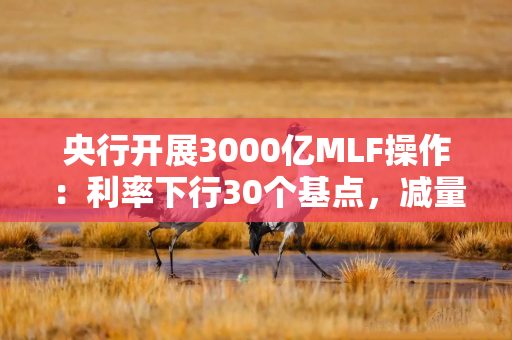 央行开展3000亿MLF操作：利率下行30个基点，减量续作、配合降准