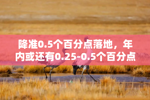 降准0.5个百分点落地，年内或还有0.25-0.5个百分点降幅