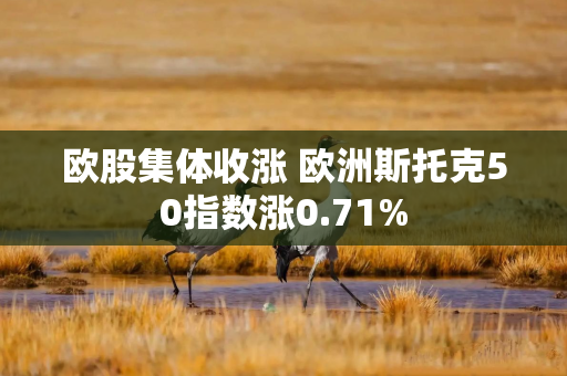 欧股集体收涨 欧洲斯托克50指数涨0.71%