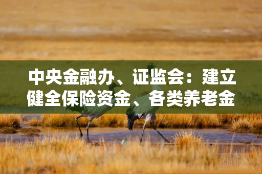 中央金融办、证监会：建立健全保险资金、各类养老金等中长期资金的三年以上长周期考核机制