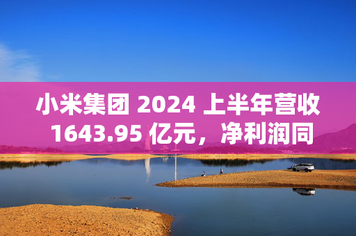 小米集团 2024 上半年营收 1643.95 亿元，净利润同比增长 17.86%