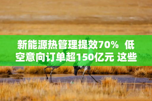 新能源热管理提效70%  低空意向订单超150亿元 这些科创新势力如何在大零号湾“乘风而起”？ ｜ 一探·从“新”出发