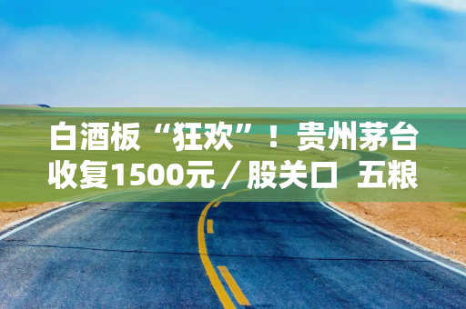 白酒板“狂欢”！贵州茅台收复1500元／股关口  五粮液、泸州老窖、山西汾酒等17只个股涨停