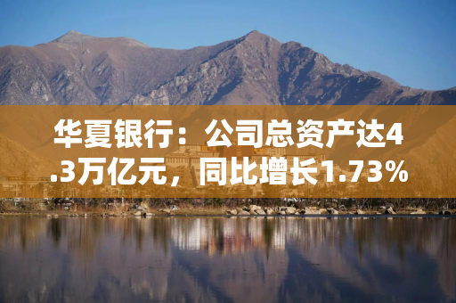 华夏银行：公司总资产达4.3万亿元，同比增长1.73%