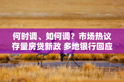 何时调、如何调？市场热议存量房贷新政 多地银行回应“存量房贷利率调降”等热点问题