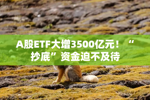 A股ETF大增3500亿元！“抄底”资金迫不及待