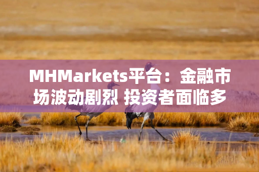 MHMarkets平台：金融市场波动剧烈 投资者面临多重挑战