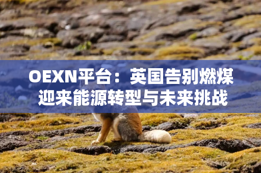 OEXN平台：英国告别燃煤 迎来能源转型与未来挑战