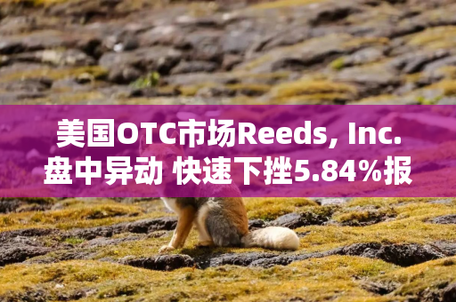 美国OTC市场Reeds, Inc.盘中异动 快速下挫5.84%报1.21美元