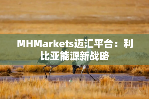 MHMarkets迈汇平台：利比亚能源新战略