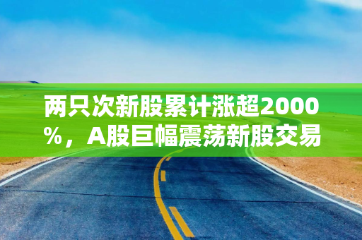 两只次新股累计涨超2000%，A股巨幅震荡新股交易如何参与？