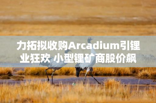 力拓拟收购Arcadium引锂业狂欢 小型锂矿商股价飙升