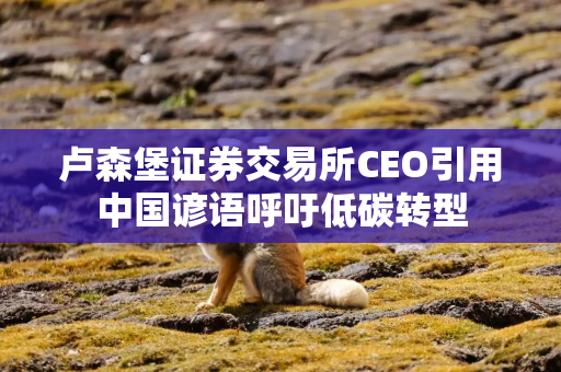 卢森堡证券交易所CEO引用中国谚语呼吁低碳转型