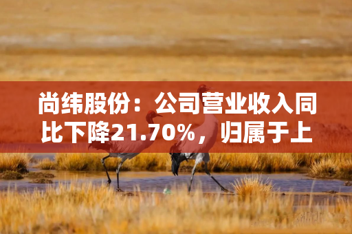 尚纬股份：公司营业收入同比下降21.70%，归属于上市公司股东的净利润同比增长221.57%