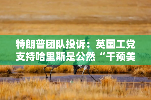 特朗普团队投诉：英国工党支持哈里斯是公然“干预美国大选”！