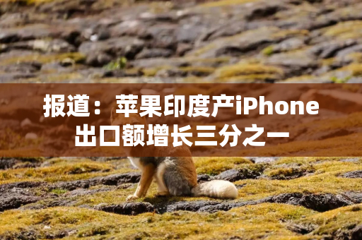 报道：苹果印度产iPhone出口额增长三分之一