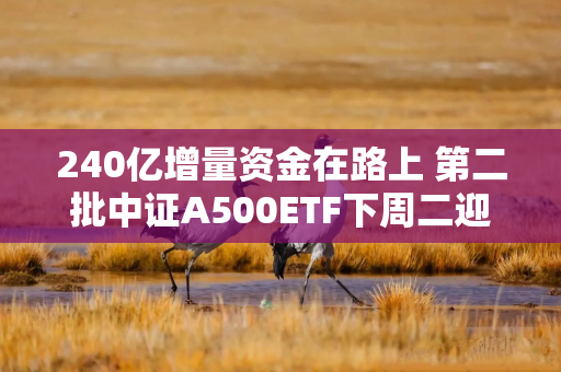 240亿增量资金在路上 第二批中证A500ETF下周二迎来密集发行