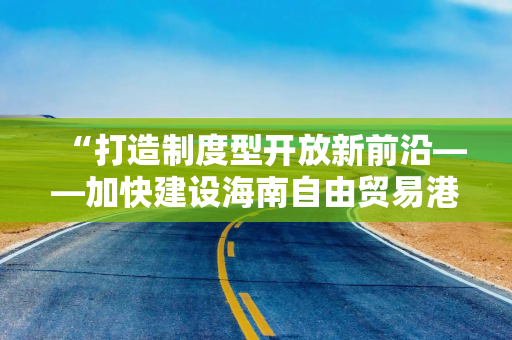 “打造制度型开放新前沿——加快建设海南自由贸易港”研讨会在海口举办