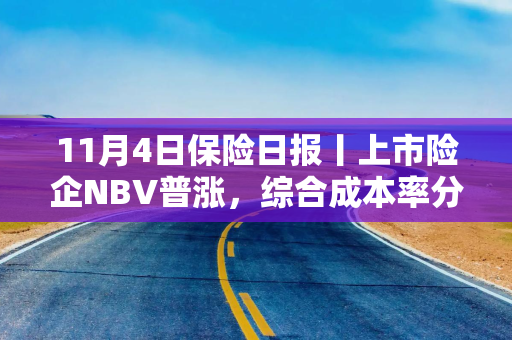 11月4日保险日报丨上市险企NBV普涨，综合成本率分化！“赚大钱”的险资如何炒股？最新重仓股名单出炉！