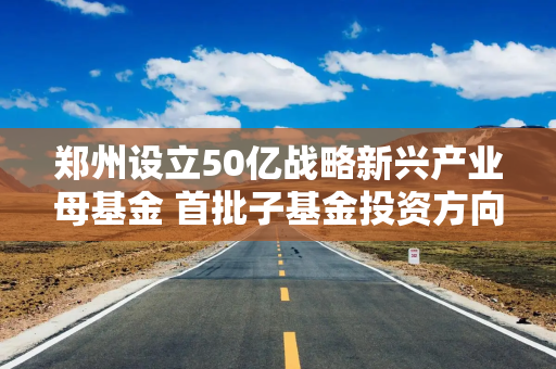 郑州设立50亿战略新兴产业母基金 首批子基金投资方向公布