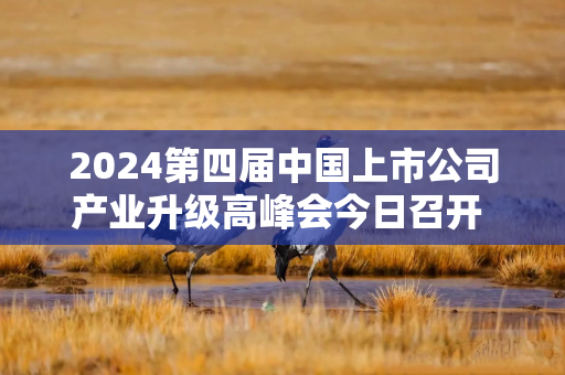 2024第四届中国上市公司产业升级高峰会今日召开 探寻产业升级新锚点