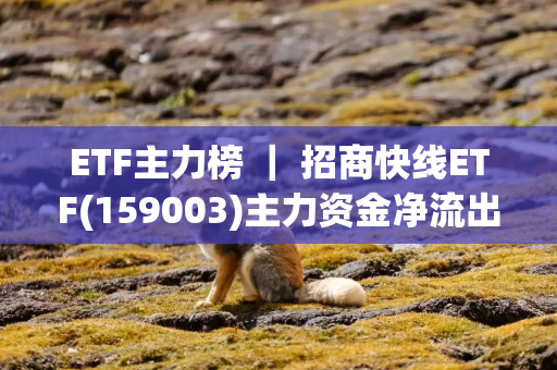 ETF主力榜 ｜ 招商快线ETF(159003)主力资金净流出586.97万元，居全市场第一梯队