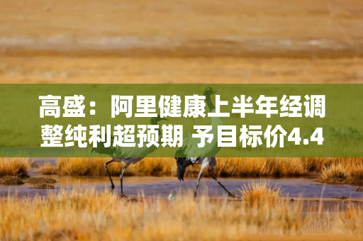 高盛：阿里健康上半年经调整纯利超预期 予目标价4.4港元