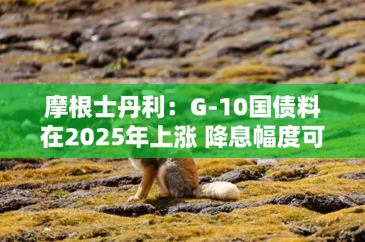 摩根士丹利：G-10国债料在2025年上涨 降息幅度可能超预期