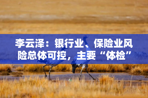 李云泽：银行业、保险业风险总体可控，主要“体检”指标都处于健康区间