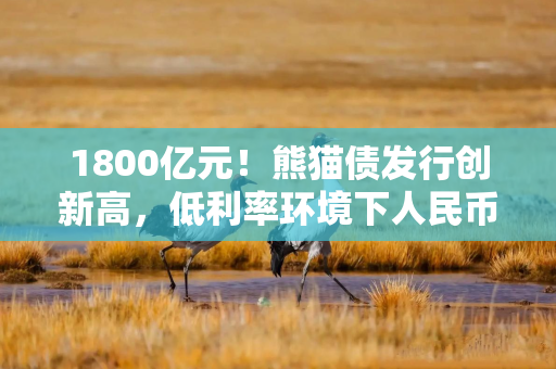 1800亿元！熊猫债发行创新高，低利率环境下人民币资产配置价值凸显