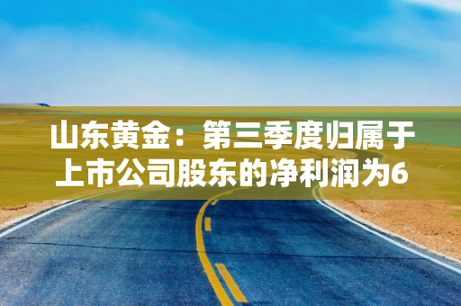 山东黄金：第三季度归属于上市公司股东的净利润为6.83亿元，同比增长46.62%