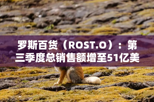 罗斯百货（ROST.O）：第三季度总销售额增至51亿美元，同店销售额增长1%