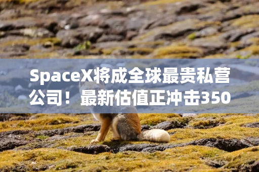 SpaceX将成全球最贵私营公司！最新估值正冲击3500亿美元