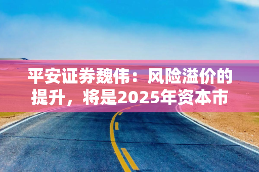 平安证券魏伟：风险溢价的提升，将是2025年资本市场定价的主要逻辑