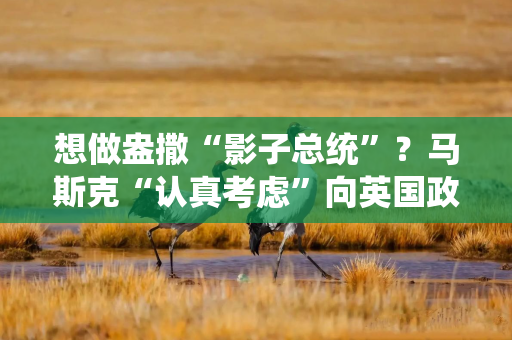 想做盎撒“影子总统”？马斯克“认真考虑”向英国政党提供资金