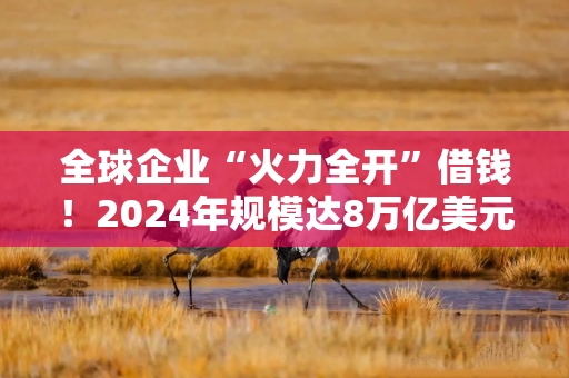 全球企业“火力全开”借钱！2024年规模达8万亿美元创纪录