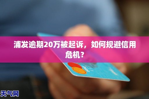 浦发逾期20万被起诉，如何规避信用危机？