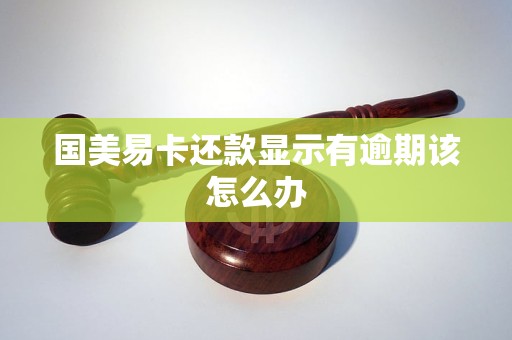 国美易卡还款显示有逾期该怎么办